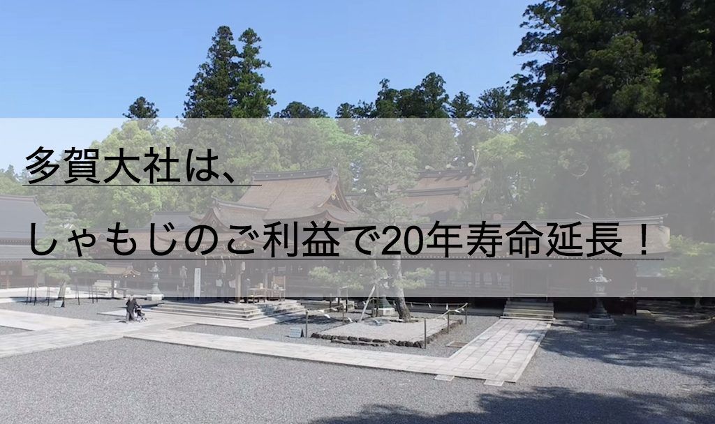 多賀大社の駐車場アクセス しゃもじのご利益で年寿命延長 神社チャンネル