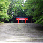 日本一階段の長い神社はどこ？【石段が荘厳さを醸し出す神社ランキング】