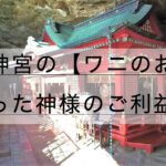 鵜戸神宮の運玉効果と駐車場、ご利益の神は【ワニのお乳で育った？】
